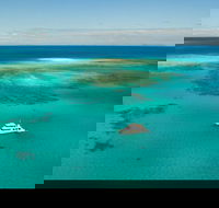 Great Barrier Reef Dive and Snorkel Cruise from Mission Beach - Local Tourism