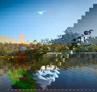 Walkabout Creek Adventures Stand Up Paddle Board Hire - Local Tourism