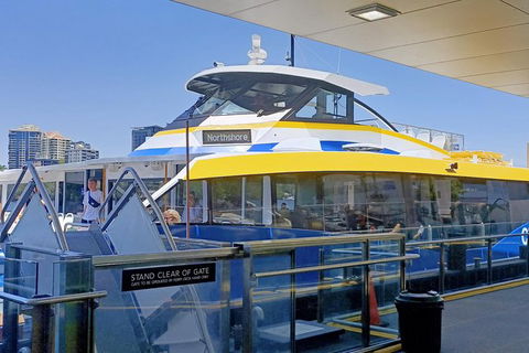Brisbane City Essentials Walking Tour - Local Tourism 8