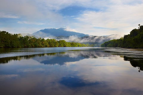 Daintree River Dawn Cruise - Accommodation Australia 5