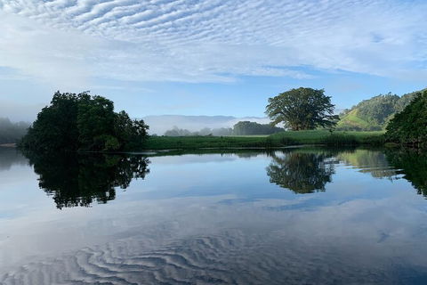Daintree River Dawn Cruise - Accommodation Australia 3