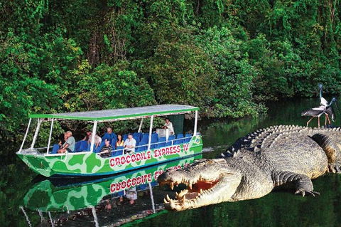 Daintree River Cruise - Accommodation Australia 0