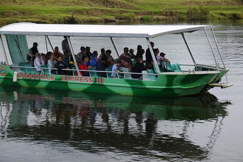 Daintree River Cruise - Accommodation Australia 2