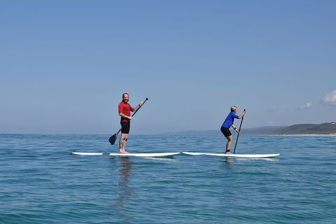 Stand Up Paddle Double Island Lesson - Local Tourism 1