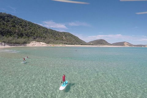Stand Up Paddle Double Island Lesson - Local Tourism 11