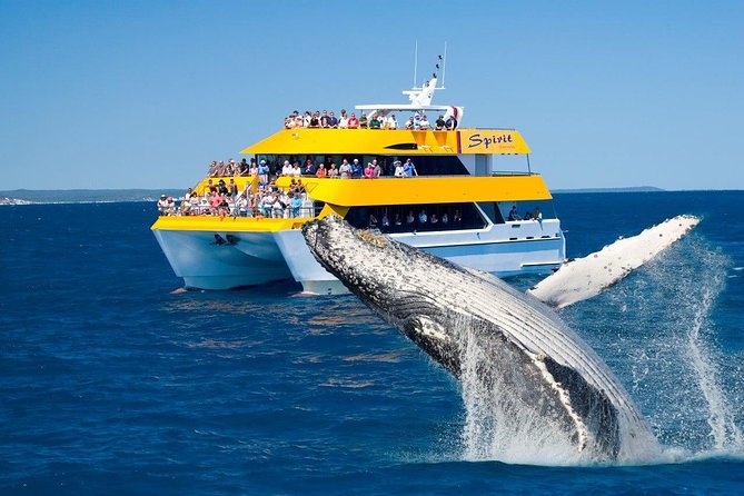  Local Tourism