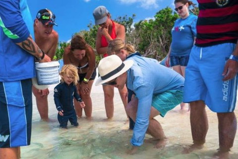 Whitehaven Beach And Hill Inlet Chill And Grill - Local Tourism 1