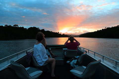 Daintree River Sunset Cruise - Accommodation Australia 0
