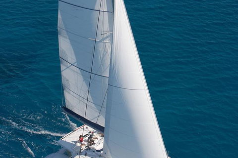 Afternoon Low Isles Snorkeling And Sailing Cruise From Port Douglas - Accommodation Australia 11