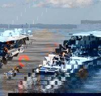 Hervey Bay Whale Swim and Watch - Local Tourism