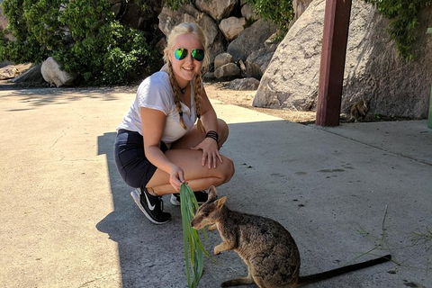 Magnetic Island Tour: Maggie Comprehensive - Accommodation Australia 9