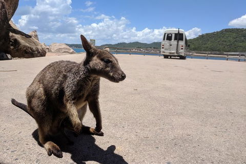 Magnetic Island Tour: Maggie Comprehensive - Accommodation Australia 2