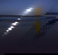Full Moon Horse Ride at Rainbow Beach - Local Tourism
