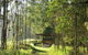Atherton Tablelands Small-Group Food & Wine Tasting Tour From Port Douglas - thumb 1
