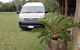 Atherton Tablelands Small-Group Food & Wine Tasting Tour From Port Douglas - thumb 5
