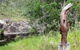 Atherton Tablelands Small-Group Food & Wine Tasting Tour From Port Douglas - thumb 6