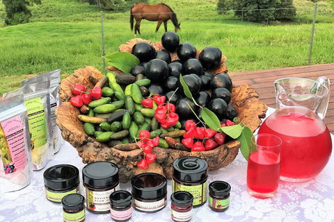 Atherton Tablelands Small-Group Food & Wine Tasting Tour From Port Douglas - Accommodation Australia 12