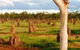 Atherton Tablelands Small-Group Food & Wine Tasting Tour From Port Douglas - thumb 18