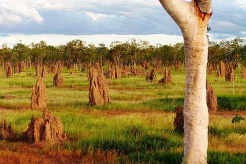 Atherton Tablelands Small-Group Food & Wine Tasting Tour From Port Douglas - Accommodation Australia 18