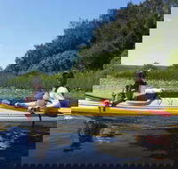 2 Day Self-Guided Noosa Everglades Kayak Tour - Local Tourism