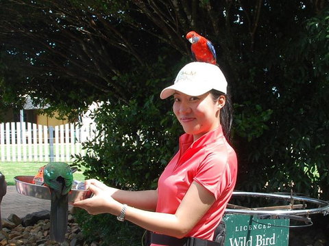 O'Reilly's Lamington National Park And Treetop Canopy Tour - Bed n Breakfasts 5