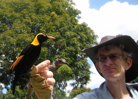 O'Reilly's Lamington National Park And Treetop Canopy Tour - Bed n Breakfasts 4