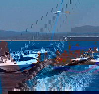 Blue Dolphin Exclusive Whale Watch Encounters - Local Tourism