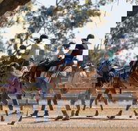 Camel Rides - Local Tourism