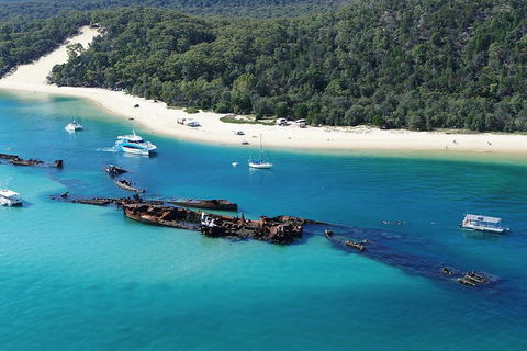 All Inclusive Dolphin And Tangalooma Wrecks Cruise Departing Gold Coast - Accommodation Australia 0