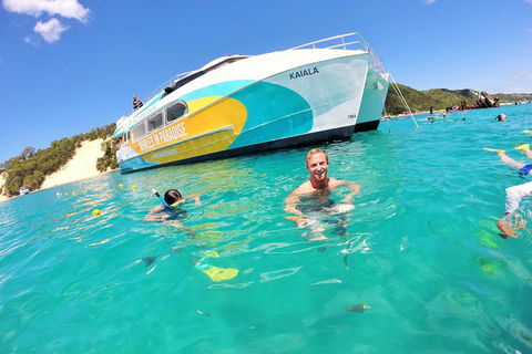 All Inclusive Dolphin And Tangalooma Wrecks Cruise Departing Gold Coast - Accommodation Australia 2