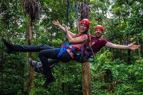 Daintree Atttractions Pass: The Best Of The Daintree In A Day - Accommodation Australia 1