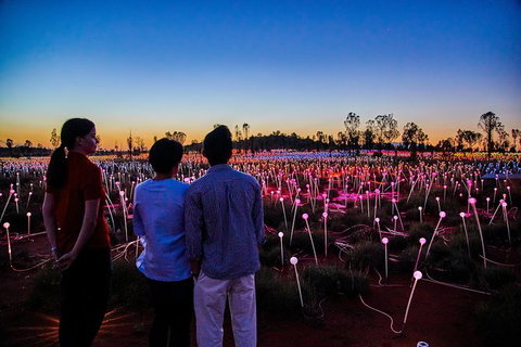 Uluru Field Of Light Sunrise Tour - Australia Shopping 0