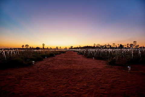 Uluru Field Of Light Sunrise Tour - Australia Shopping 14