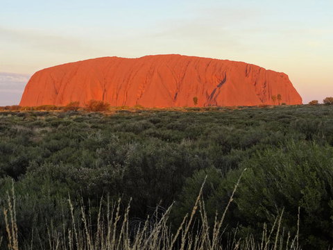 Uluru (Ayers Rock) Sunset With Outback Barbecue Dinner And Star Tour - Australia Shopping 5