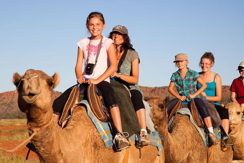 Alice Springs Camel Tour - Local Tourism 0