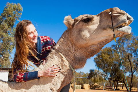 Alice Springs Camel Tour - Local Tourism 6