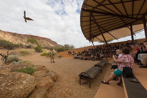 Alice Springs Desert Park General Entry Ticket - Accommodation Australia 5