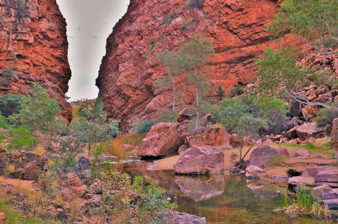 West MacDonnell Ranges Day Trip From Alice Springs - Local Tourism 3