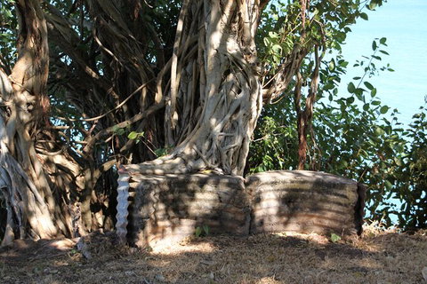 Darwin Walking Tour: World War II Reflections - Accommodation Australia 6