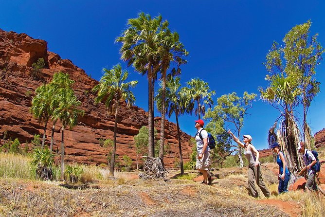  Local Tourism