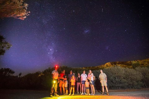 Alice Springs Desert Park Nocturnal Tour - Local Tourism 1
