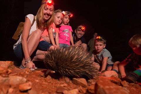 Alice Springs Desert Park Nocturnal Tour - Local Tourism 5