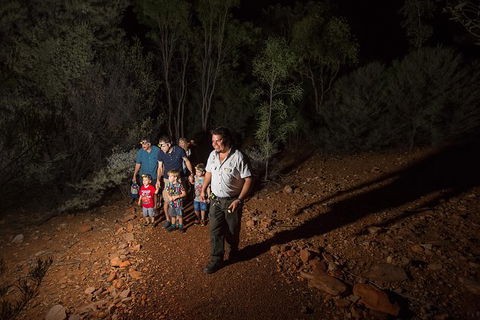 Alice Springs Desert Park Nocturnal Tour - Local Tourism 6
