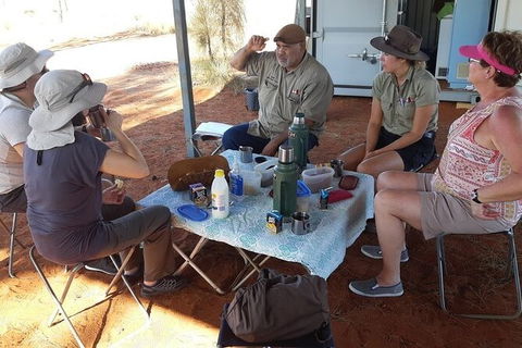 Aboriginal Homelands Experience From Ayers Rock Including Sunset - Accommodation Australia 2