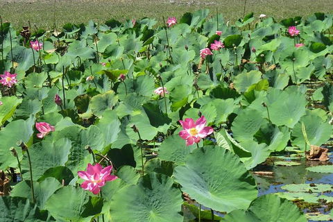 Darwin To Kakadu Day Trip By Air Including Yellow Water Cruise - Accommodation Australia 10