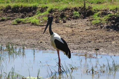 Darwin To Kakadu Day Trip By Air Including Yellow Water Cruise - Accommodation Australia 12