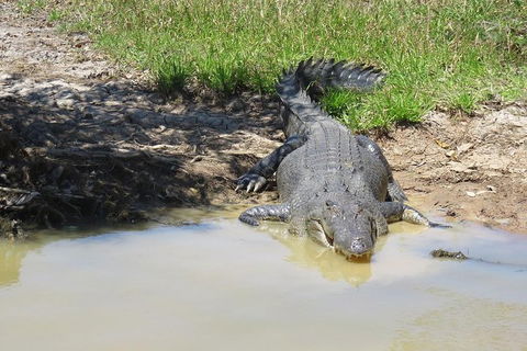 Darwin To Kakadu Day Trip By Air Including Yellow Water Cruise - Accommodation Australia 5
