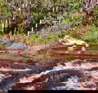Litchfield National Park Day Tour from Darwin With Waterfalls And Buley Rockhole - Accommodation Australia