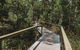 Litchfield National Park Day Tour From Darwin With Waterfalls And Buley Rockhole - thumb 5