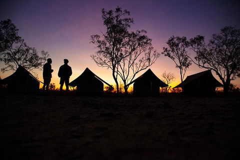 5 Day 4WD Jabiru Dreaming Top End Safari - Accommodation Australia 3